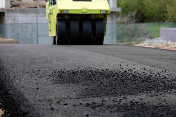 Best Driveway Paver Sealing  in Ray City, GA
