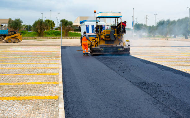 Best Driveway Paver Repair  in Ray City, GA