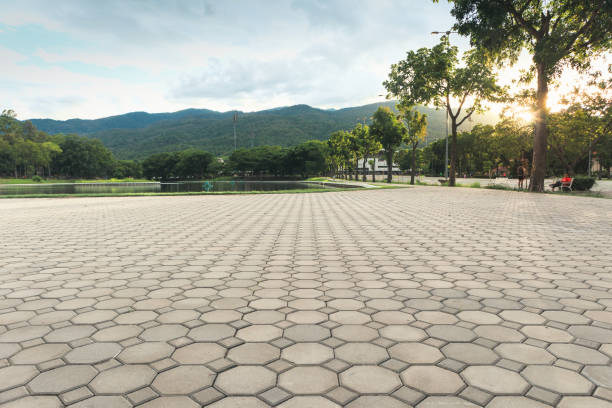 Best Brick Driveway Pavers  in Ray City, GA