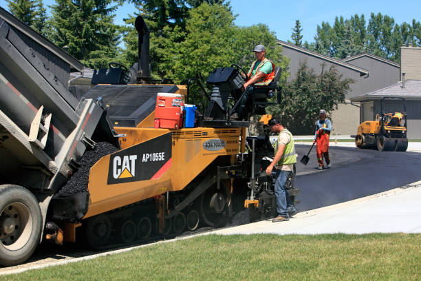 Best Driveway Pavers Near Me  in Ray City, GA