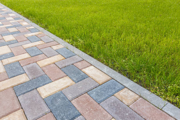 Best Interlocking Driveway Pavers  in Ray City, GA